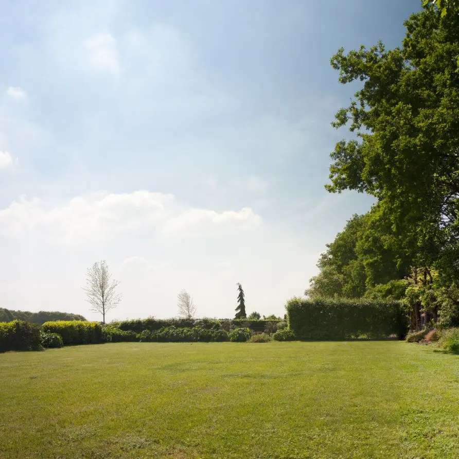 Grasveld Bungalowpark Boerhaarsveld
