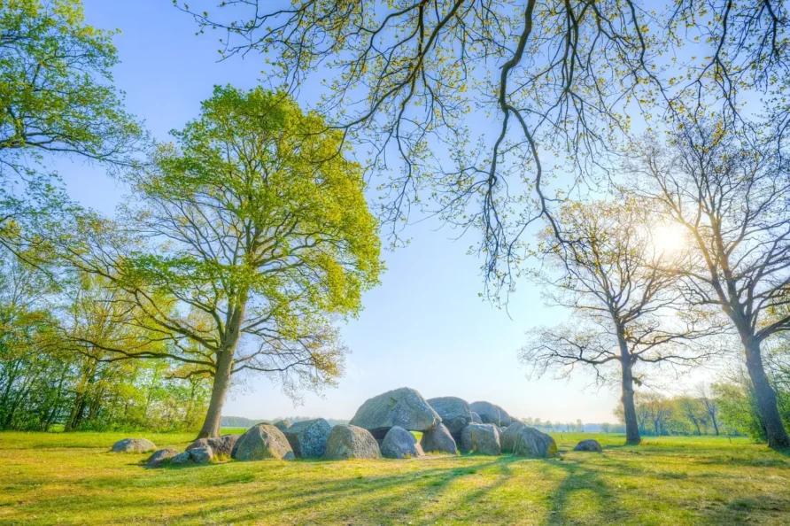 Frühling in Drenthe: Erleben Sie die blühende Landschaft und die schönsten Ausflugsziele